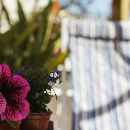 Casa Del Mare Apartamento Capitolo